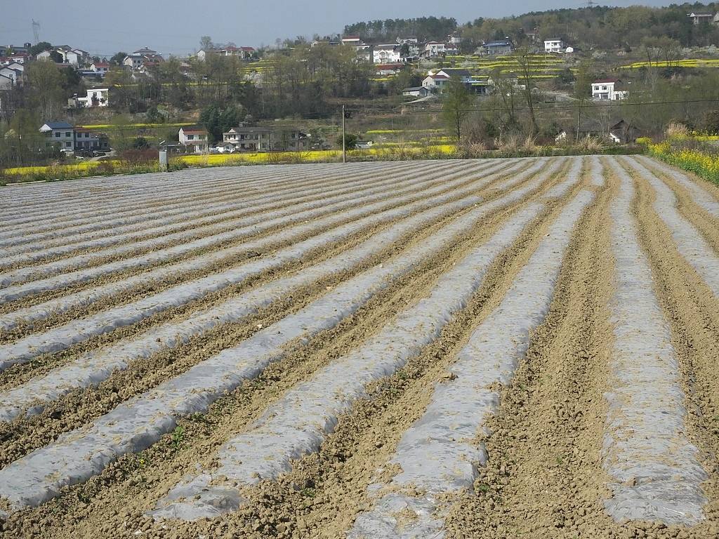 公职人员占他人耕地屡次修坟<strong></p>
<p>以太坊走势</strong>，得管管乡村恶霸