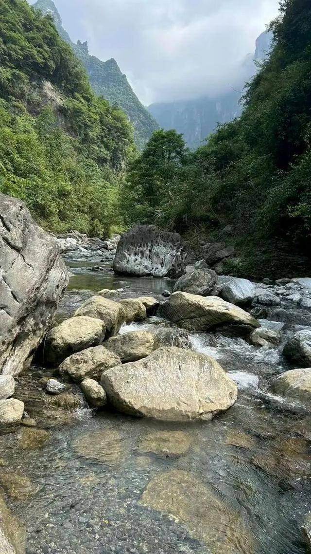 90后杨东东夺得荒野求生挑战赛冠军<strong></p>
<p>以太坊技术</strong>,每顿饭都会吃点老鼠,获10万奖金,比赛前后对比照曝光