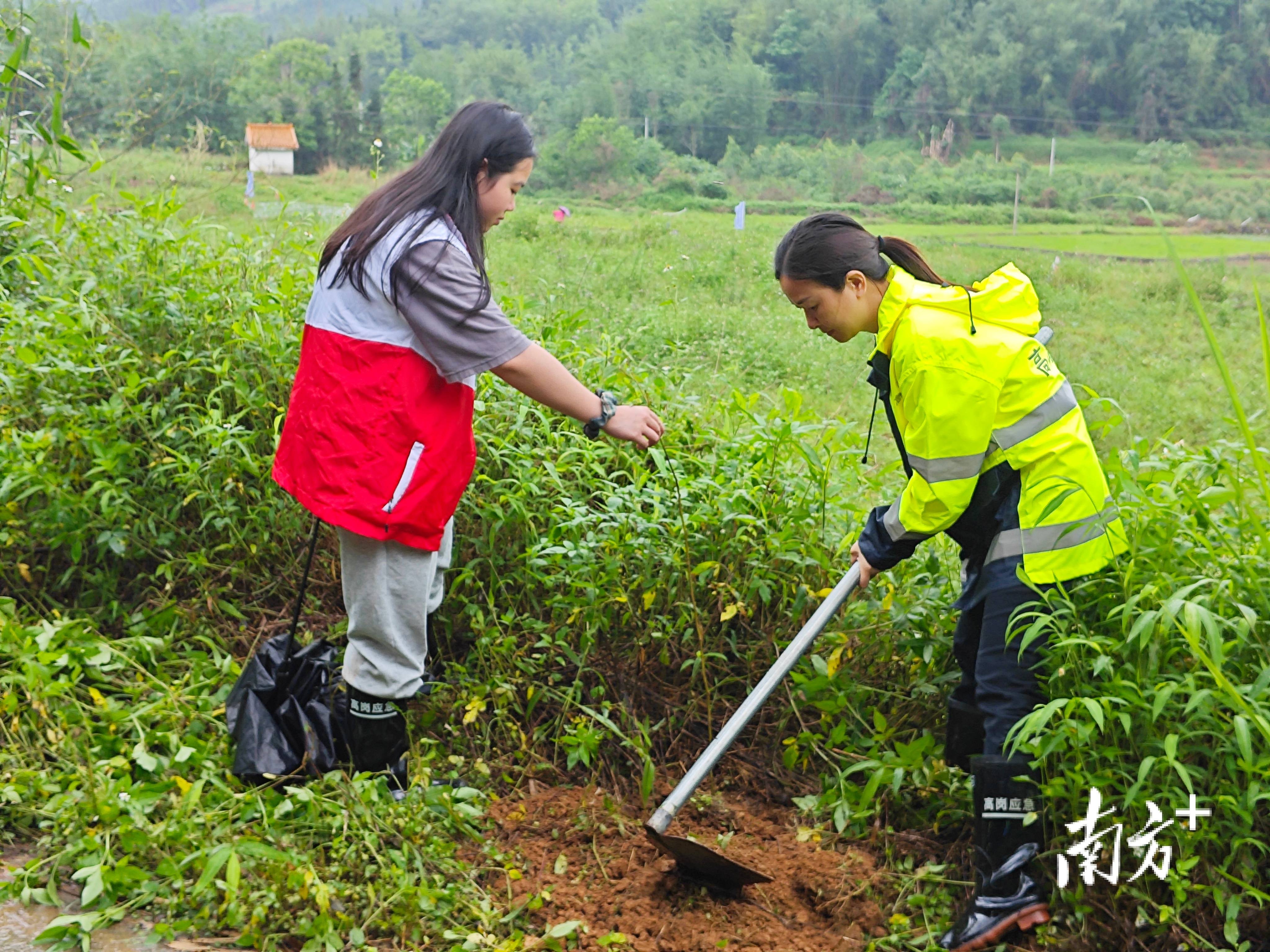 “外来媳妇”谭焕贞五年深耕<strong></p>
<p>以太坊贸易</strong>，佛冈高岗宝山村换新貌