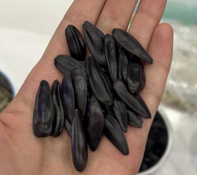 紫色向日葵、多彩胡萝卜、双色火龙果亮相青岛<strong></p>
<p>以太坊贸易</strong>，种子盛会变身“未来食物实验室”