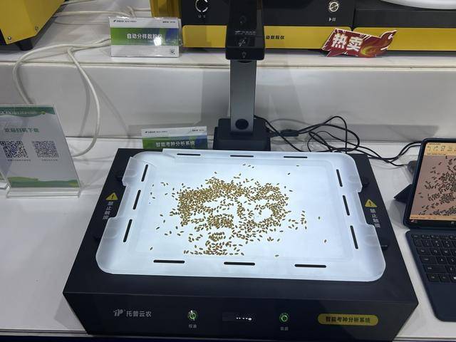 紫色向日葵、多彩胡萝卜、双色火龙果亮相青岛<strong></p>
<p>以太坊贸易</strong>，种子盛会变身“未来食物实验室”