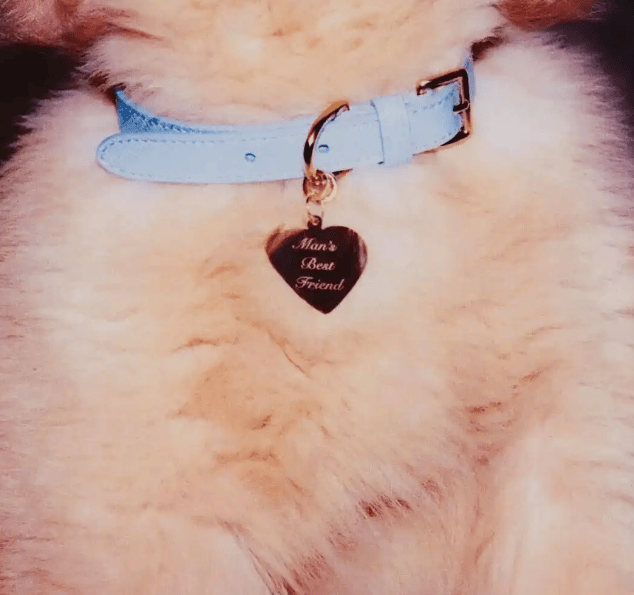 格莱美天后一年两登VOGUE封面<strong></p>
<p>以太坊贸易</strong>,却因“取悦男人”遭质疑?