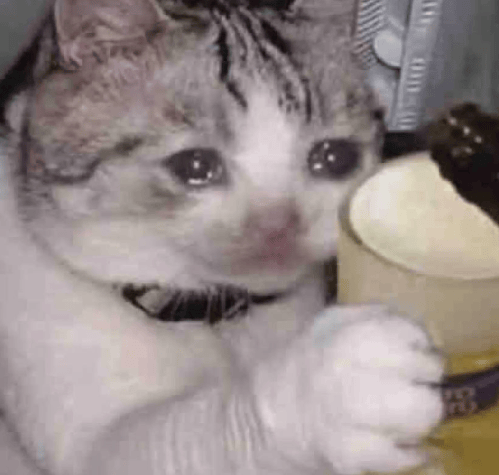 “不亚于春节回家”！凌晨5点<strong></p>
<p>ico以太坊</strong>，深圳有人已经堵在路上……