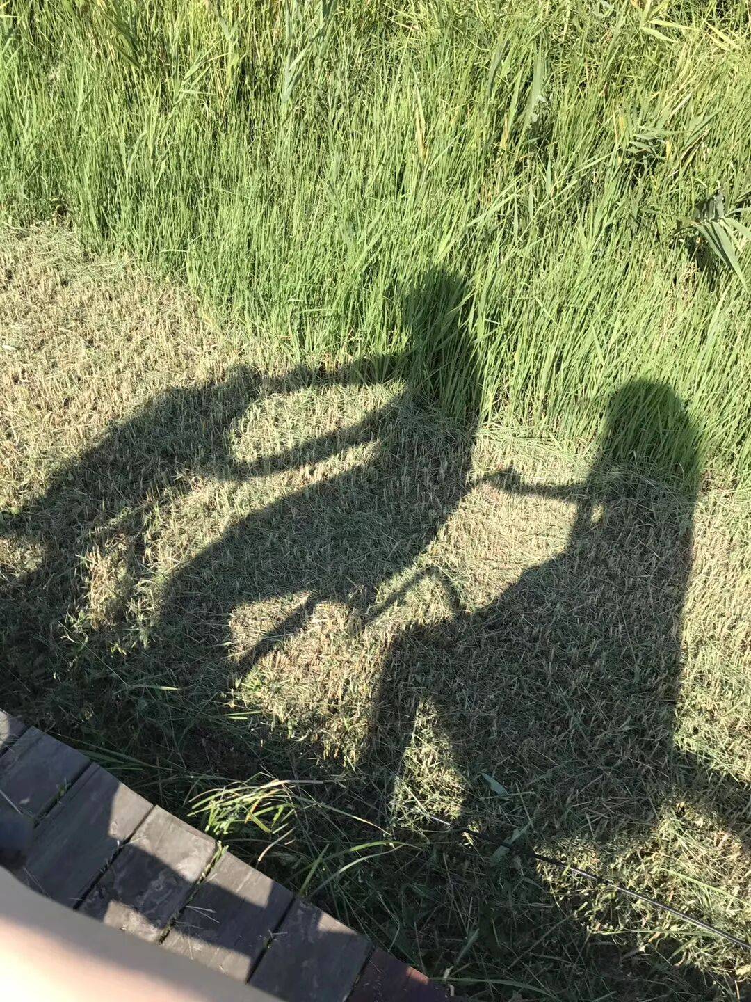 纸质火车票退场<strong></p>
<p>ico以太坊</strong>,每道折痕里都藏着远方、爱情与山河记忆