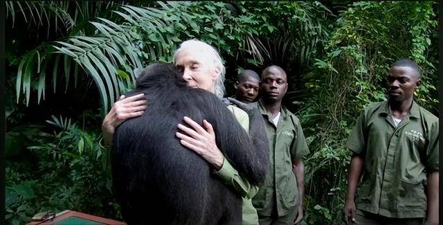 “课本上的传奇”<strong></p>
<p>以太坊交易平台</strong>，走了