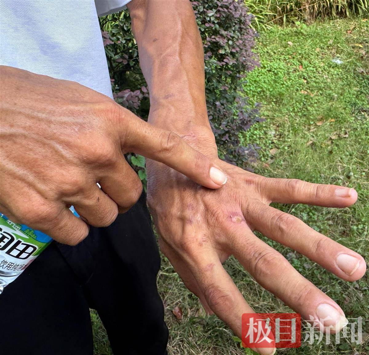 “鸡排哥”赚得盆满钵满购置多套房产？当事人幽默回应：还没到一个亿<strong></p>
<p>以太坊交易平台</strong>，你多来，我才能多卖2份