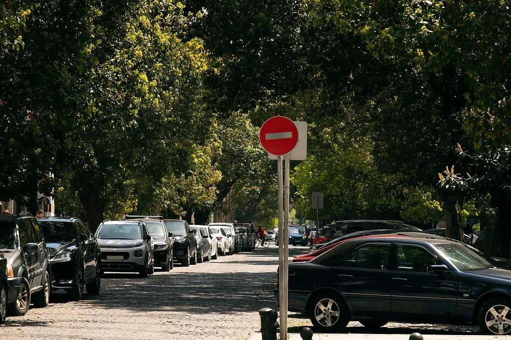 机关单位免费停车、开放食堂……全国多地开启假期“宠客”模式