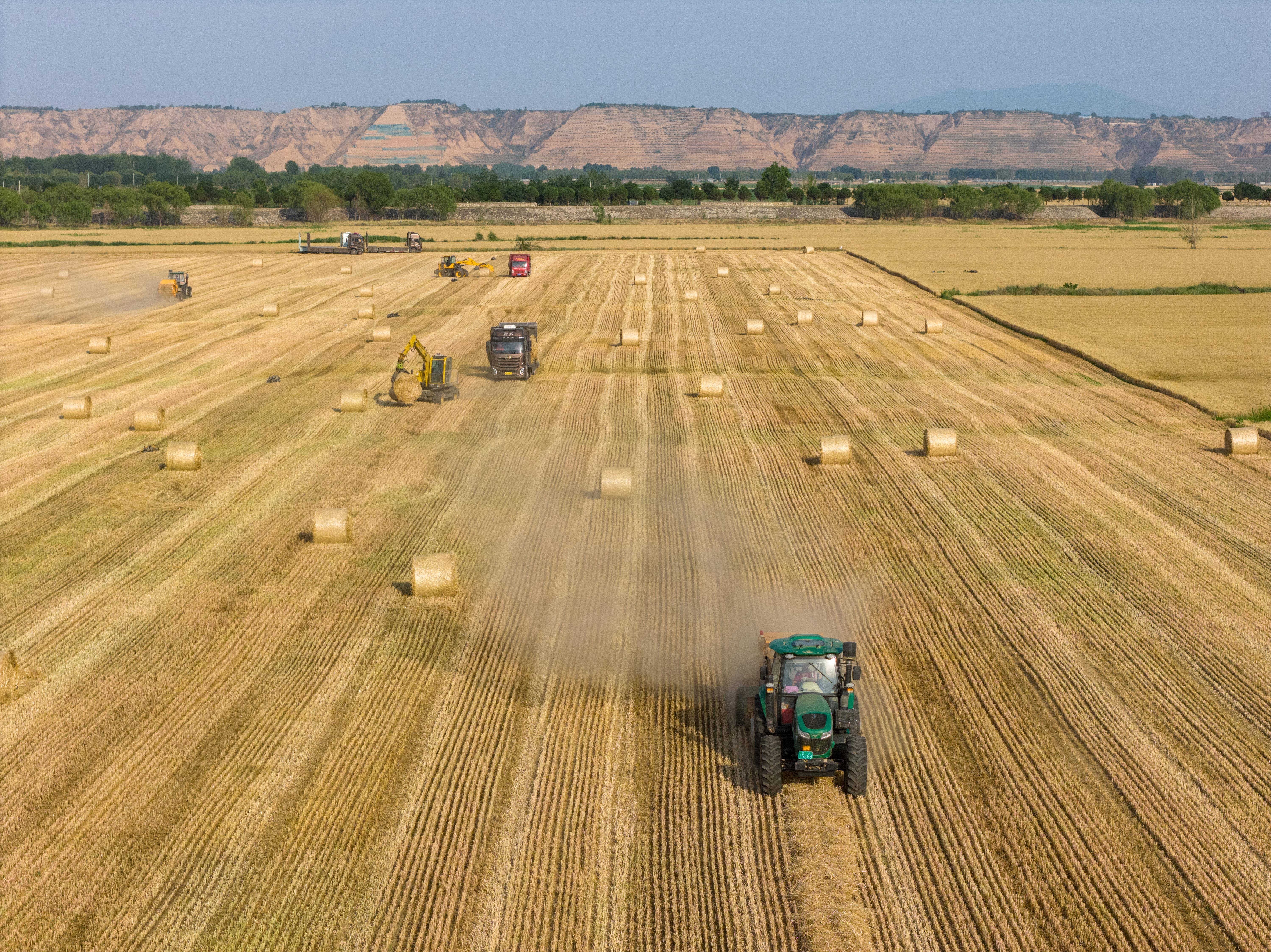 时政微观察丨为<strong></p>
<p>以太坊交易平台</strong>了前无古人的伟大事业