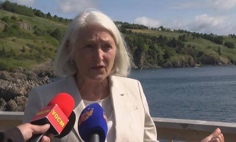 宁愿全部安乐死<strong></p>
<p>矿机以太坊</strong>,也不给中国?加拿大养不起30头白鲸,中国愿接手,然而...