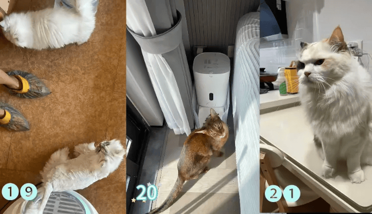 这个需求激增！一男子连接270单<strong></p>
<p>矿机以太坊</strong>，其中一笔收费8100元