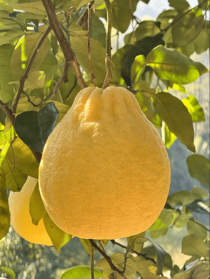 没有什么能阻挡！今天<strong></p>
<p>矿机以太坊</strong>，广西人就是要回家！