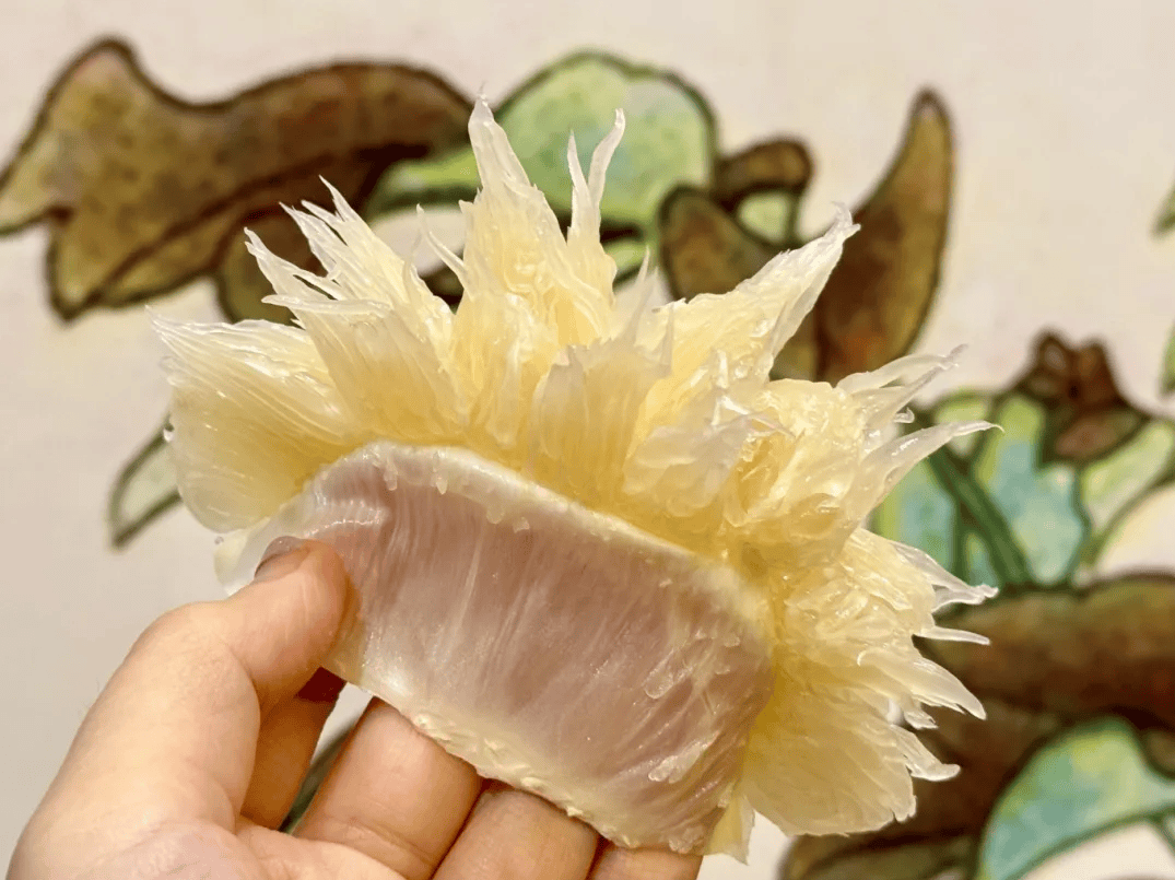 没有什么能阻挡！今天<strong></p>
<p>矿机以太坊</strong>，广西人就是要回家！