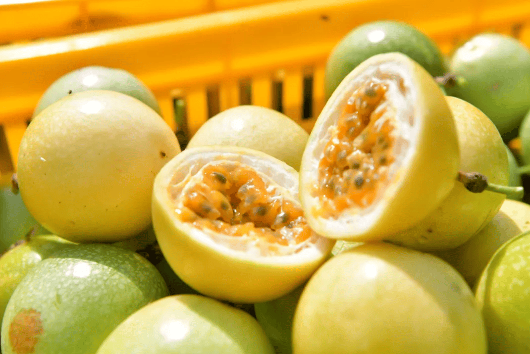 没有什么能阻挡！今天<strong></p>
<p>矿机以太坊</strong>，广西人就是要回家！