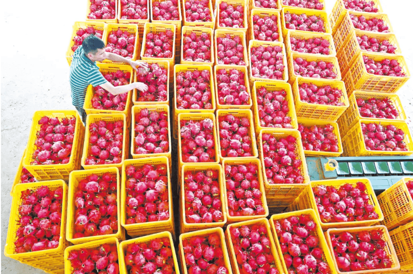 没有什么能阻挡！今天<strong></p>
<p>矿机以太坊</strong>，广西人就是要回家！