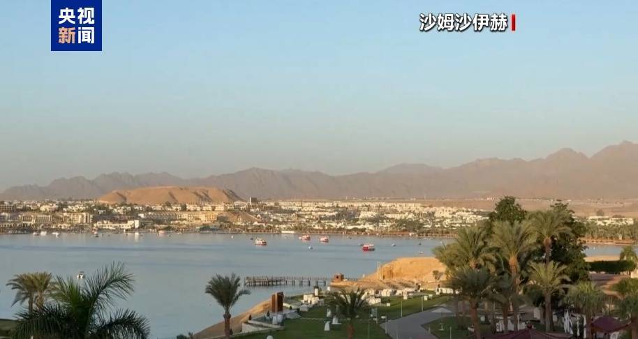 哈马斯、普京最新发声<strong></p>
<p>以太坊虚拟机</strong>！