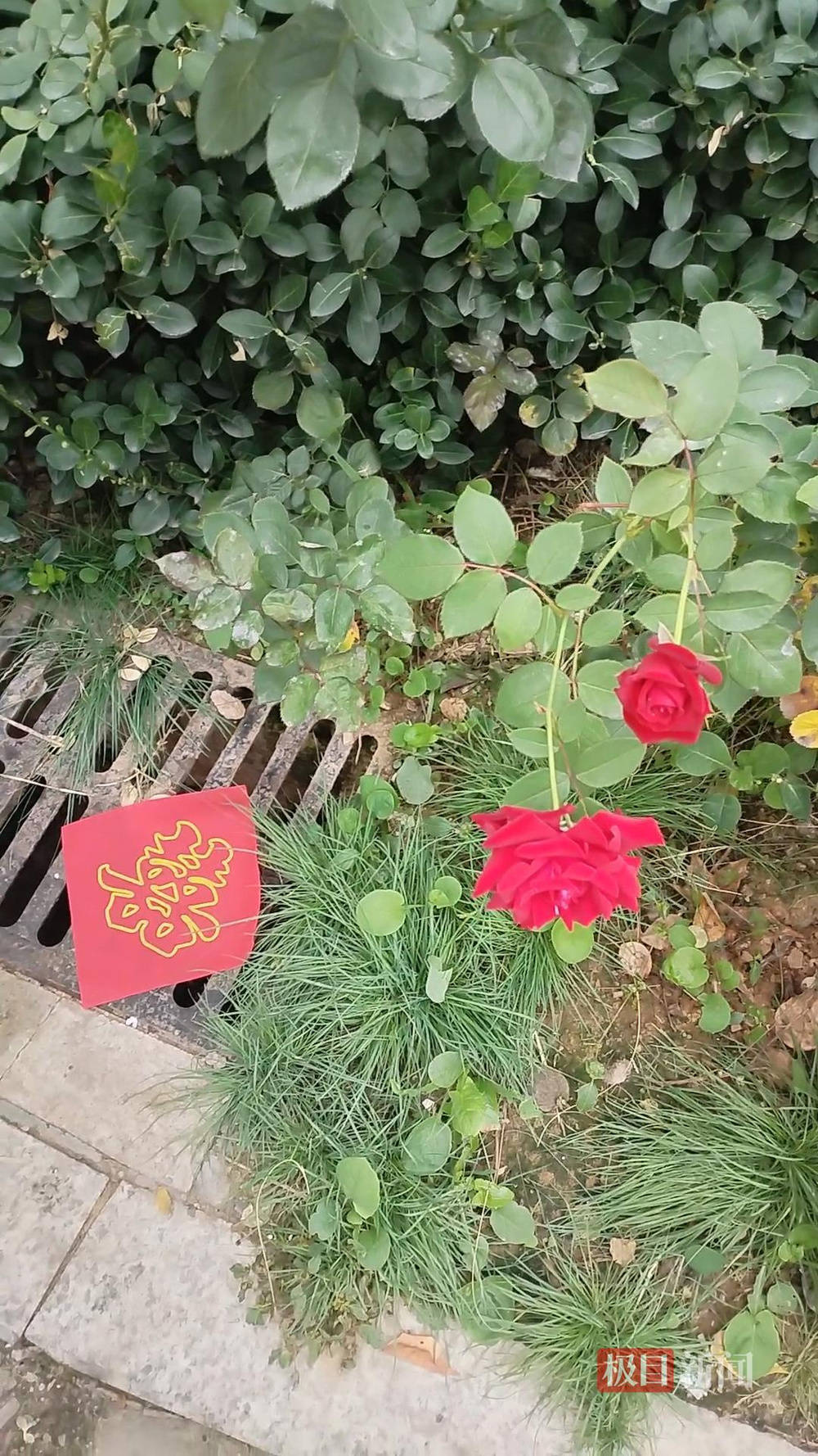 山西婚礼要在下水道井盖贴“喜”字?有的井盖被贴了8张<strong></p>
<p>以太坊虚拟机</strong>,当地居民:寓意不踩坑、驱晦迎喜