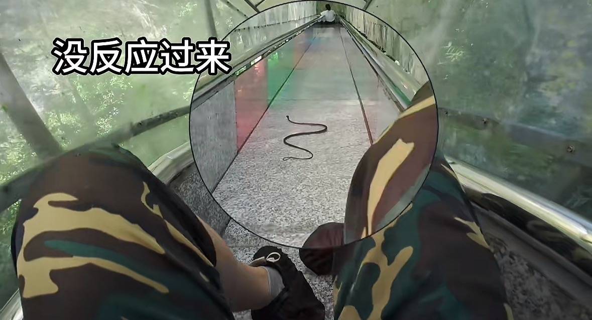 游客称在广西丹炉山滑道遇蛇<strong></p>
<p>以太坊社区</strong>，景区致歉：这么多年就这一次，每年都做防蛇处理