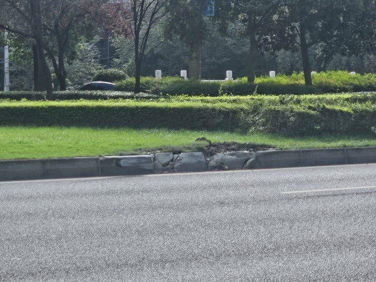 成都发生一起严重交通事故<strong></p>
<p>eth价格今日行情</strong>，上游新闻实地探访：燃烧留下的印记仍在