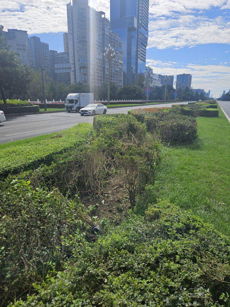 成都发生一起严重交通事故<strong></p>
<p>eth价格今日行情</strong>，上游新闻实地探访：燃烧留下的印记仍在