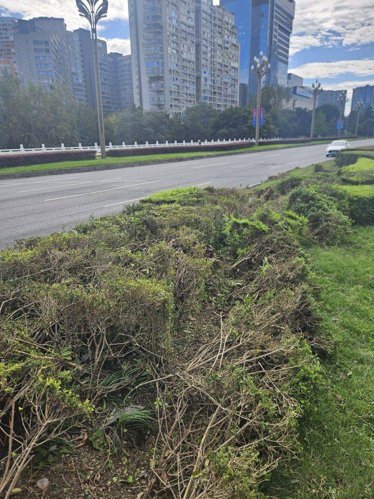 成都发生一起严重交通事故<strong></p>
<p>eth价格今日行情</strong>，上游新闻实地探访：燃烧留下的印记仍在