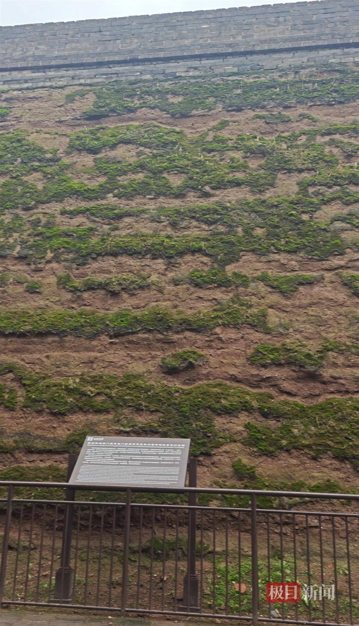 西安连续一个多月降雨遍地长蘑菇<strong></p>
<p>eth价格今日行情</strong>，大雁塔受潮，城墙布满青苔，气象局解释成因