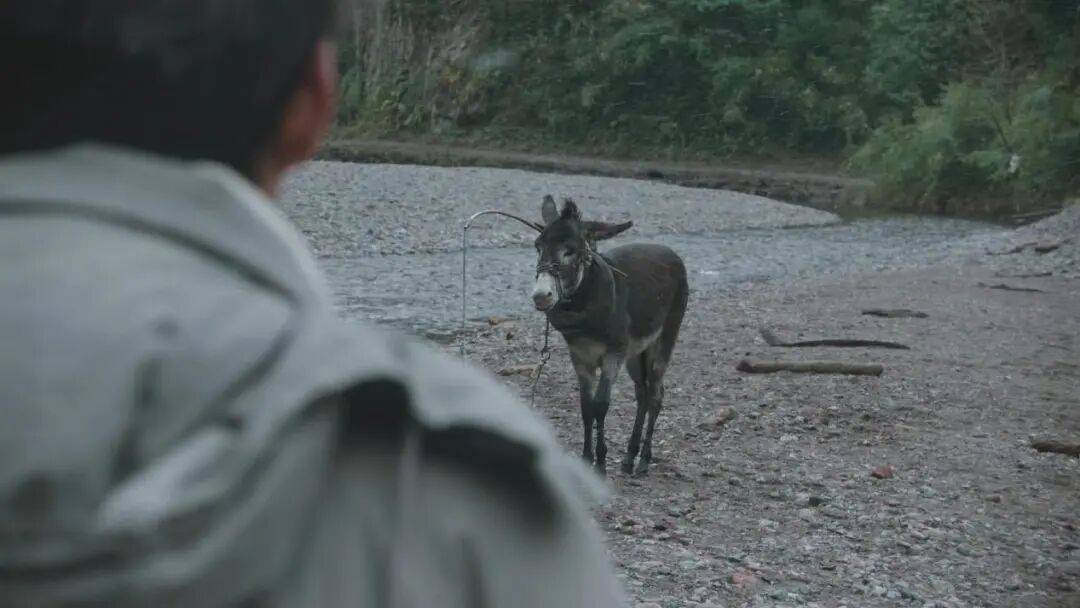 为什么说现在不缺牛马<strong></p>
<p>eth价格今日行情</strong>，就缺驴？