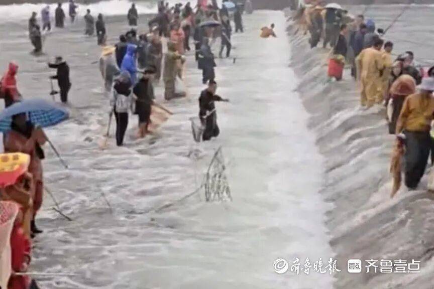 “鱼多得数不过来<strong></p>
<p>Eth价格</strong>,一网子下去能捞好几条”济南锦绣川水库开闸放水,大量鲢鱼被冲出,工作人员:禁止捕捞!