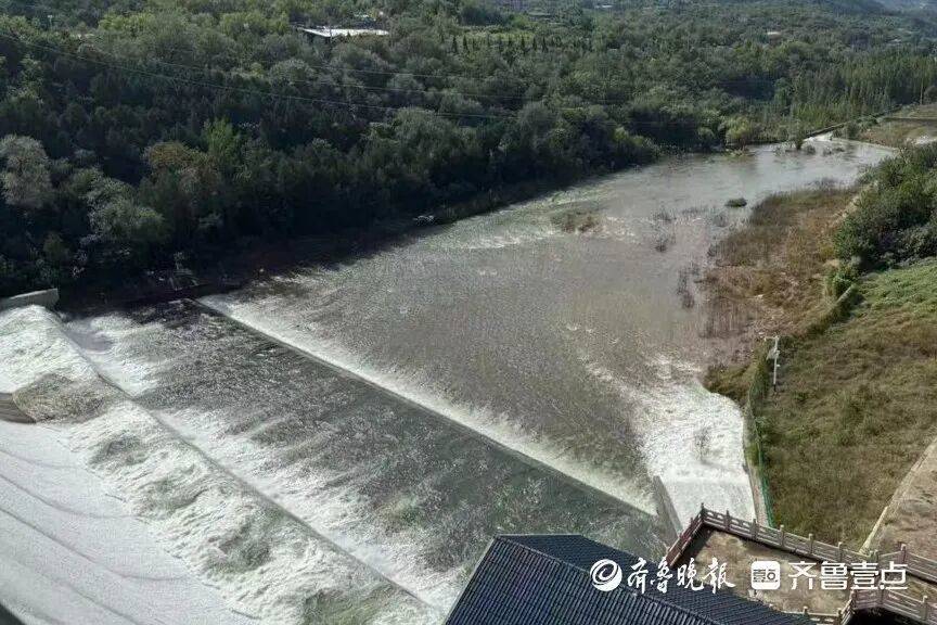 “鱼多得数不过来<strong></p>
<p>Eth价格</strong>,一网子下去能捞好几条”济南锦绣川水库开闸放水,大量鲢鱼被冲出,工作人员:禁止捕捞!