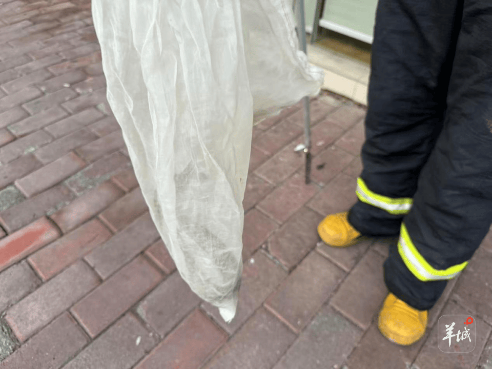 广州一小区蛇患频发：已抓超60条但未探测到蛇窝位置<strong></p>
<p>Eth价格</strong>，多方介入