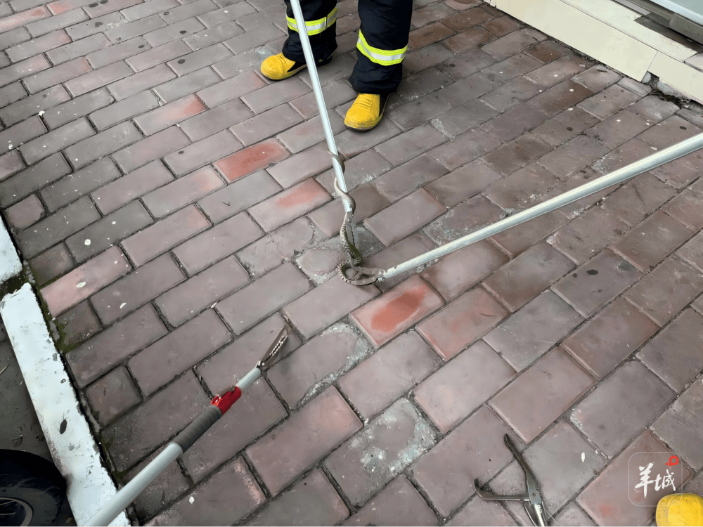 广州一小区蛇患频发：已抓超60条但未探测到蛇窝位置<strong></p>
<p>Eth价格</strong>，多方介入