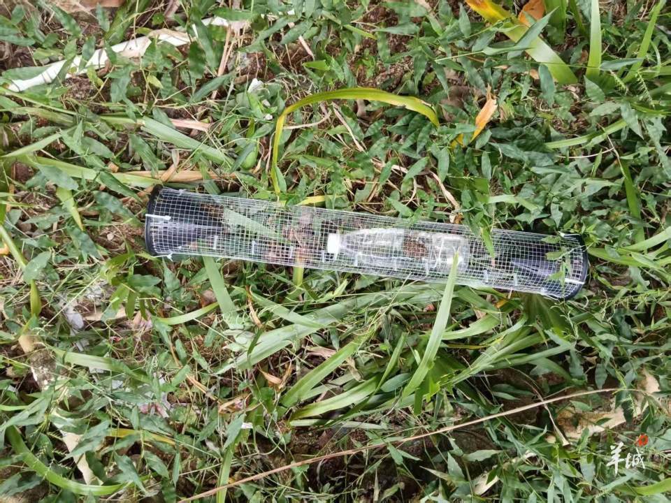 广州一小区蛇患频发：已抓超60条但未探测到蛇窝位置<strong></p>
<p>Eth价格</strong>，多方介入