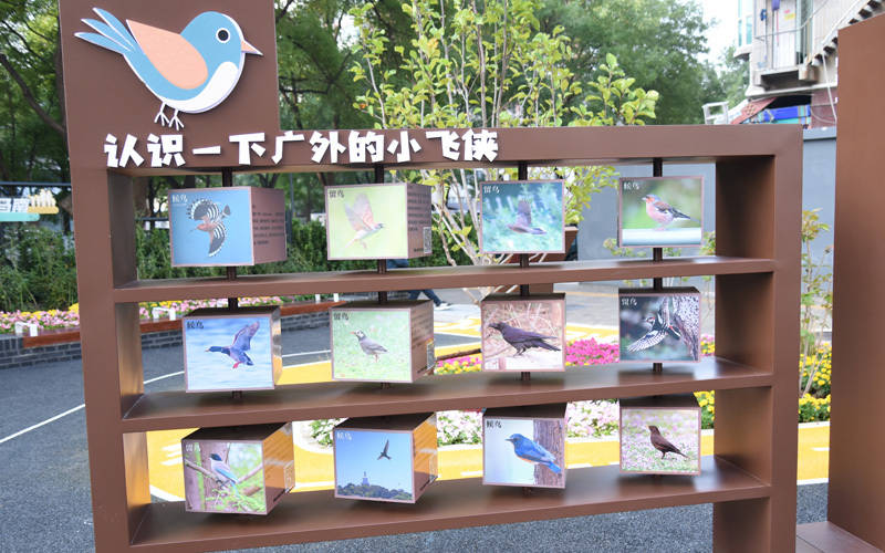 西城区广外街道:“断头路”变身口袋公园<strong></p>
<p>eth币</strong>,装满民生“微幸福”