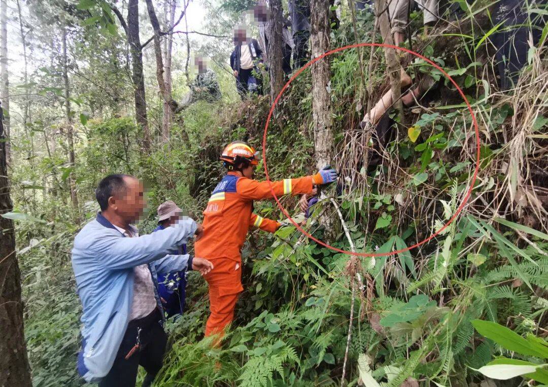 93岁老人进山失联<strong></p>
<p>eth币</strong>,两天后发现他倒挂在树杈上苦撑……