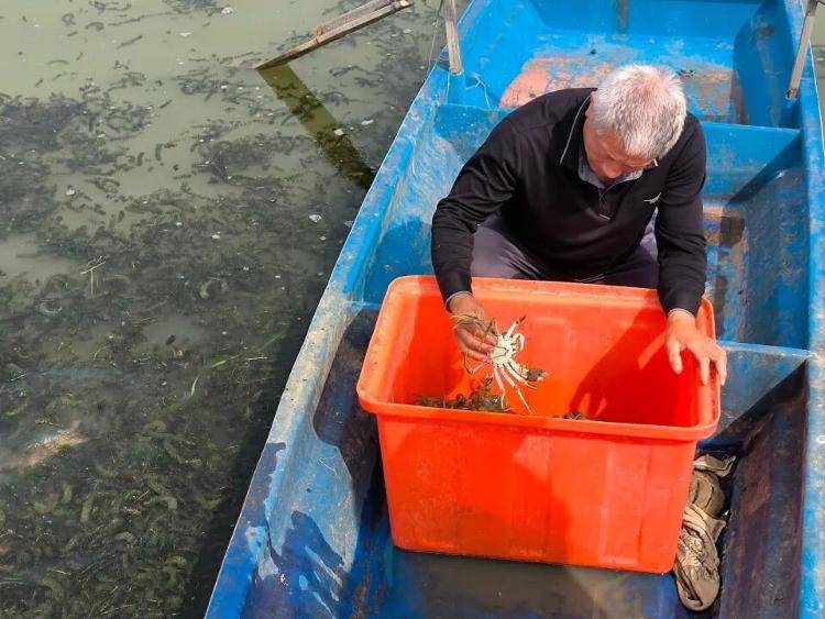 武汉江夏一地大闸蟹大量上市<strong></p>
<p>挖eth</strong>，日产1000斤当天售完，每只螃蟹有自己的“身份证”，吃深海小黄鱼长大