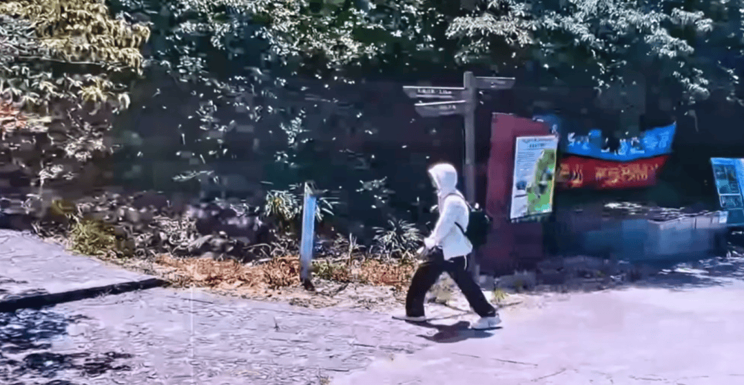 深圳登山失联约70天<strong></p>
<p>eth挖矿</strong>，27岁男子遗体疑被找到已遇难，其位于一块大石头下，家属回应