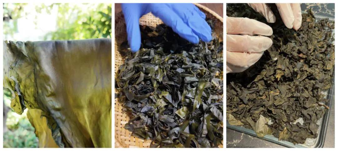 被万亿巨头忽略的赛道<strong></p>
<p>eth挖矿</strong>,却受年轻人追捧,有公司年销70亿