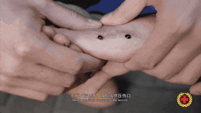 女子半夜上厕所<strong></p>
<p>eth算力</strong>,马桶里突然窜出一条蛇!