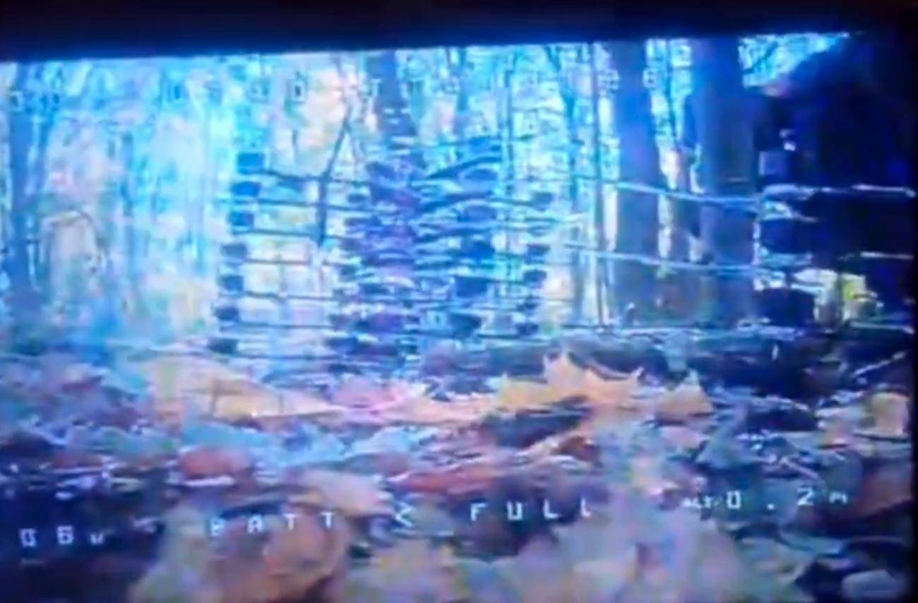 1万朝鲜特种兵凭空消失？苏梅全线告急<strong></p>
<p>eth算力</strong>，乌克兰截获绝密前线情报