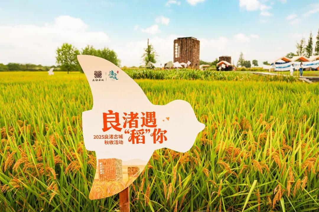 良渚遇“稻”<strong></p>
<p>Eth交易</strong>你 ｜ 秋季活动正当时