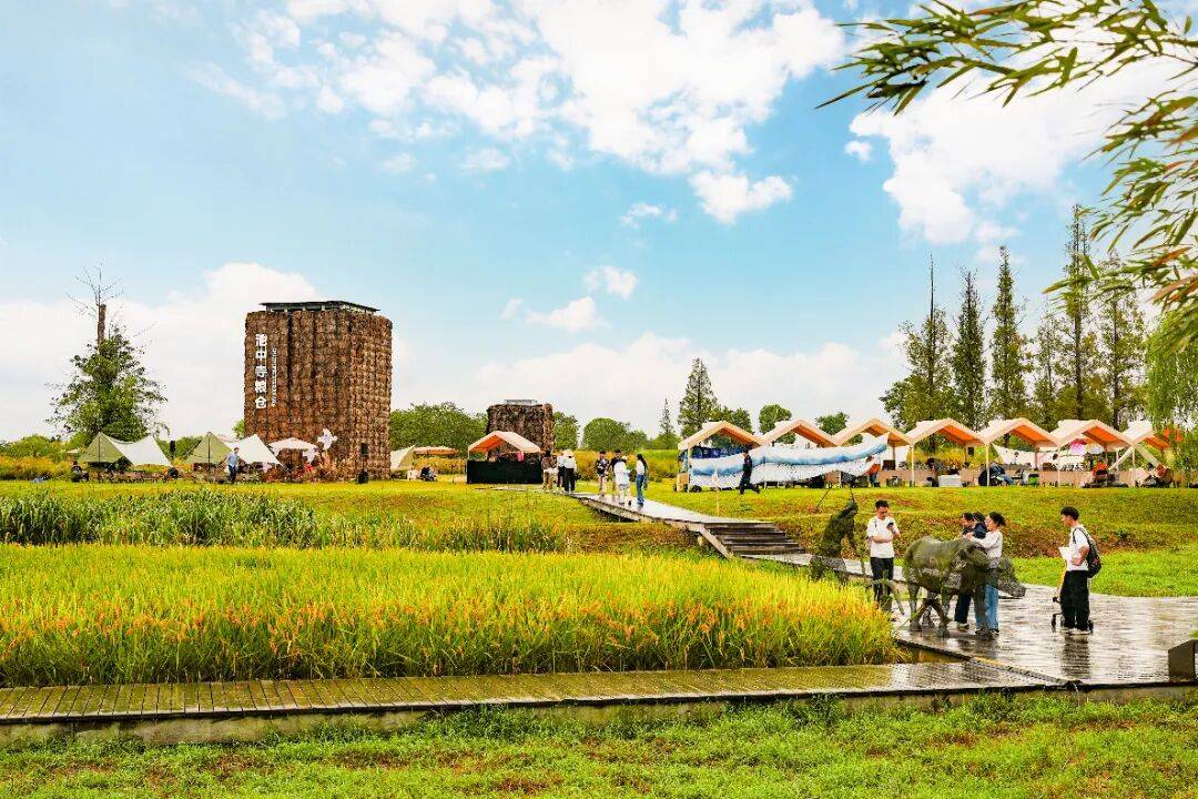 良渚遇“稻”<strong></p>
<p>Eth交易</strong>你 ｜ 秋季活动正当时