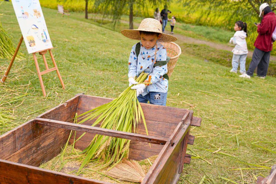 良渚遇“稻”<strong></p>
<p>Eth交易</strong>你 ｜ 秋季活动正当时