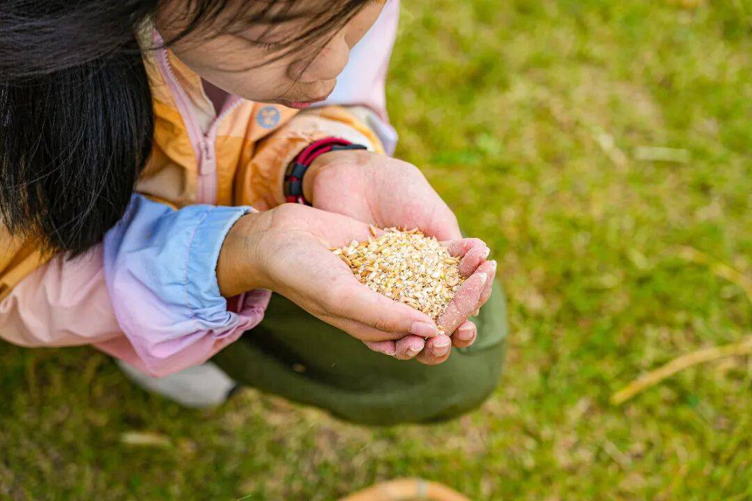 良渚遇“稻”<strong></p>
<p>Eth交易</strong>你 ｜ 秋季活动正当时