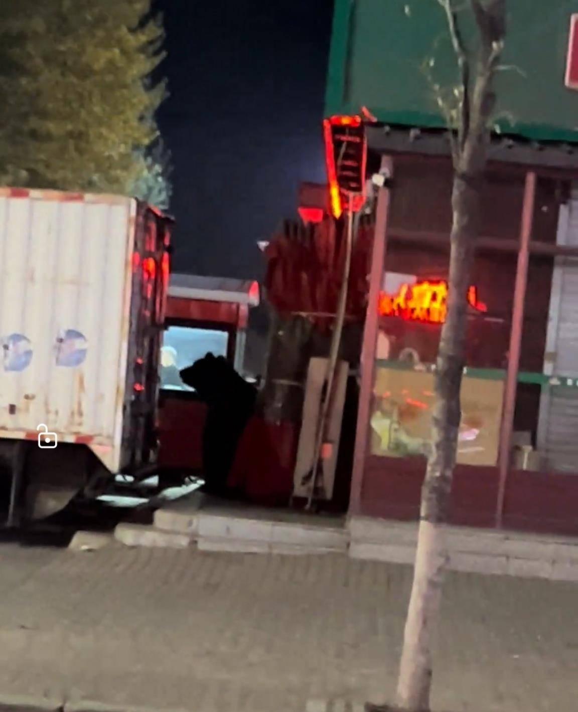 大黑熊夜里独闯黑龙江一县城闹市区<strong></p>
<p>eth地址</strong>，警方连开10多枪击毙，回应为何没用麻醉枪