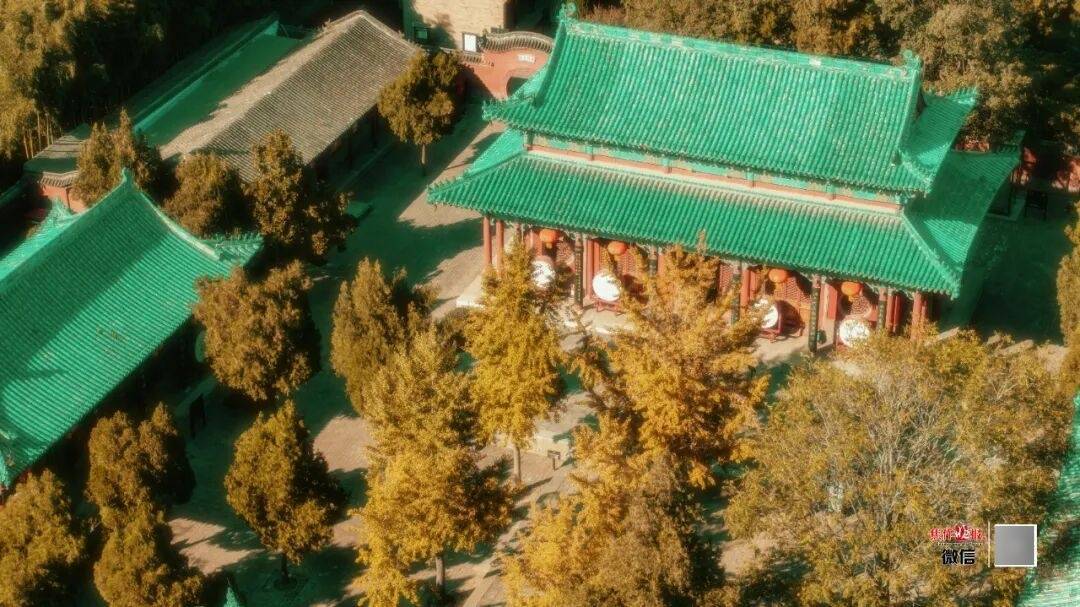 银杏金黄<strong></p>
<p>eth地址</strong>！铺满焦作的秋天！