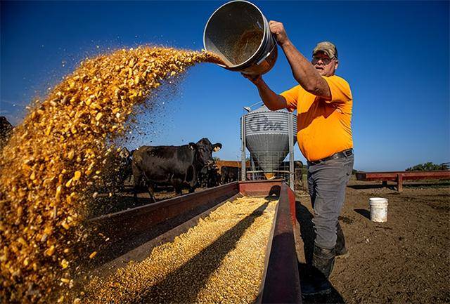 又输给了李成钢<strong></p>
<p>eth矿池</strong>,贝森特承诺:美方不再考虑对华加征100%关税