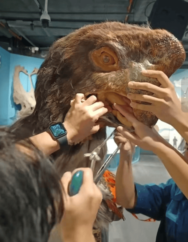 被卡住了<strong></p>
<p>eth矿池</strong>！广州一游客把手伸进恐龙模型嘴中