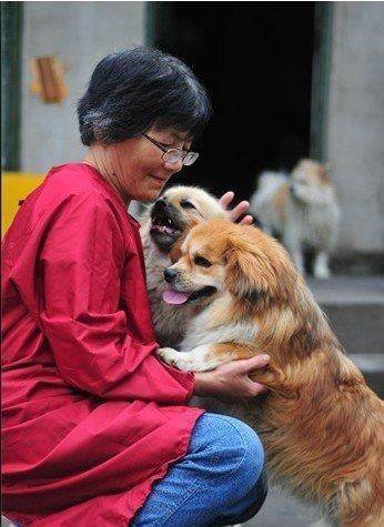 合肥卖房救助流浪狗的魏阿姨离世<strong></p>
<p>eth充值</strong>，病中仍然惦记着基地的600只流浪狗，工人：不敢相信世上还有这样执着的人