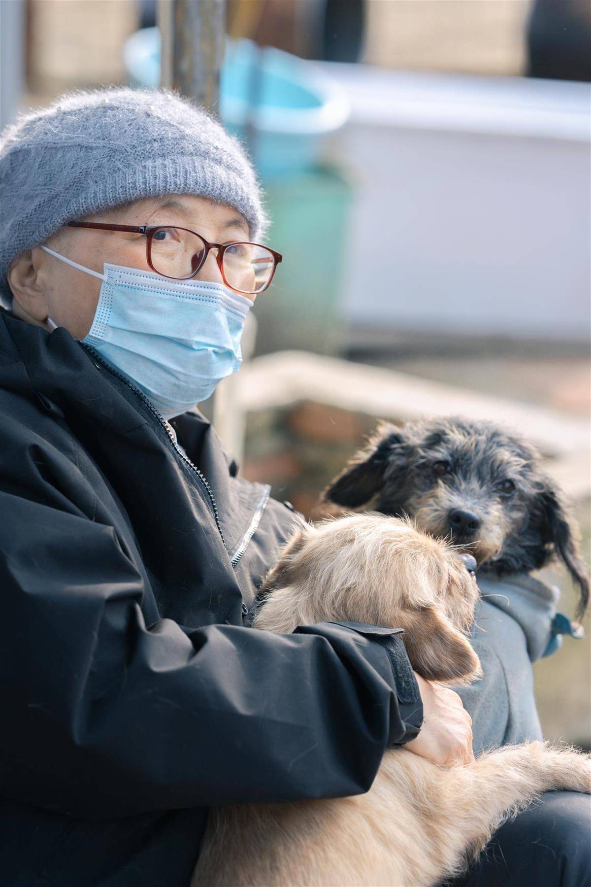 合肥卖房救助流浪狗的魏阿姨离世<strong></p>
<p>eth充值</strong>，病中仍然惦记着基地的600只流浪狗，工人：不敢相信世上还有这样执着的人