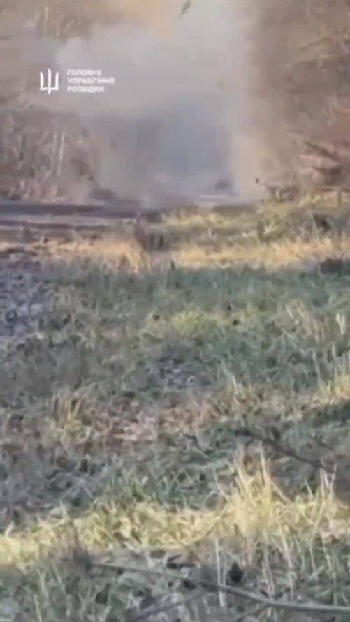 炸榛树导弹<strong></p>
<p>区块链eth</strong>，炸莫斯科，炸俄军上校，乌克兰豁出去，不怕被核打击