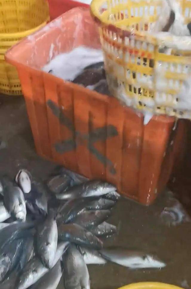 水产市场“麻醉鱼”调查：有商家称麻药有味会换水再卖<strong></p>
<p>区块链eth</strong>，有无危害尚不明